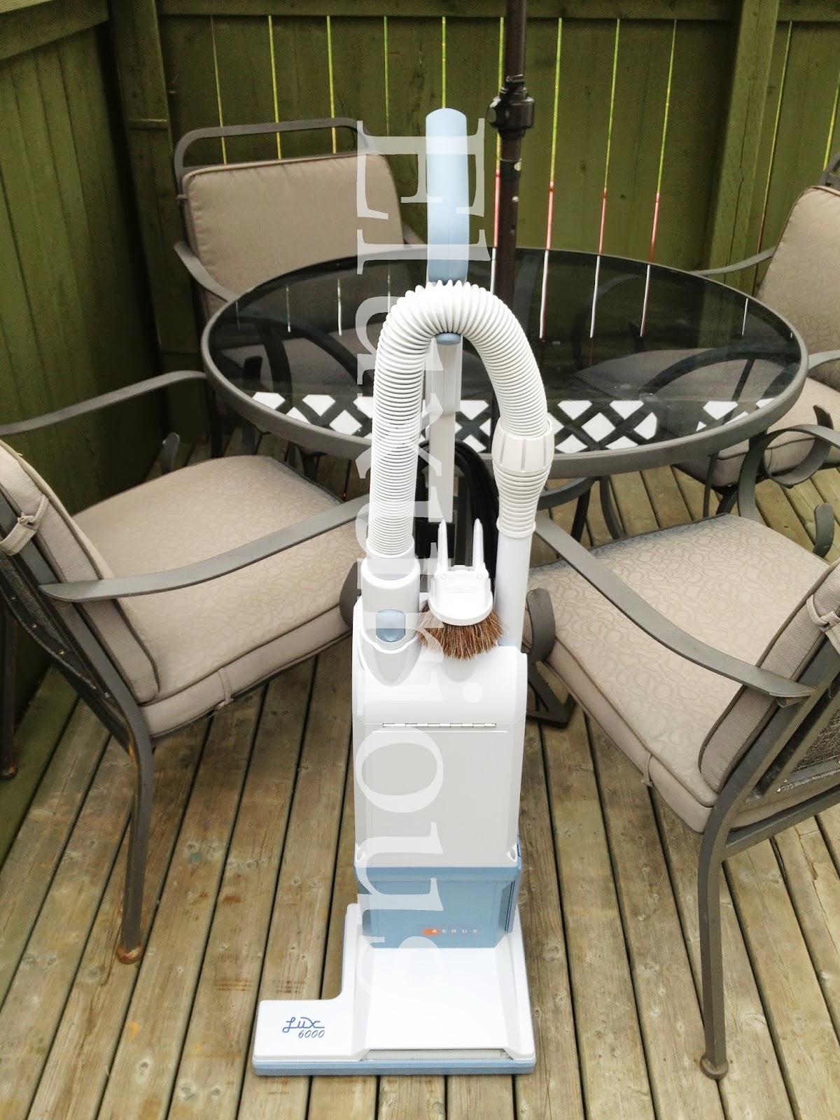 Eluxurious A Clean and Upright Citizen