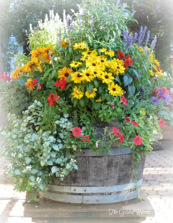 Patio Gardening 101 Cozy Little House Patio Gardening 101