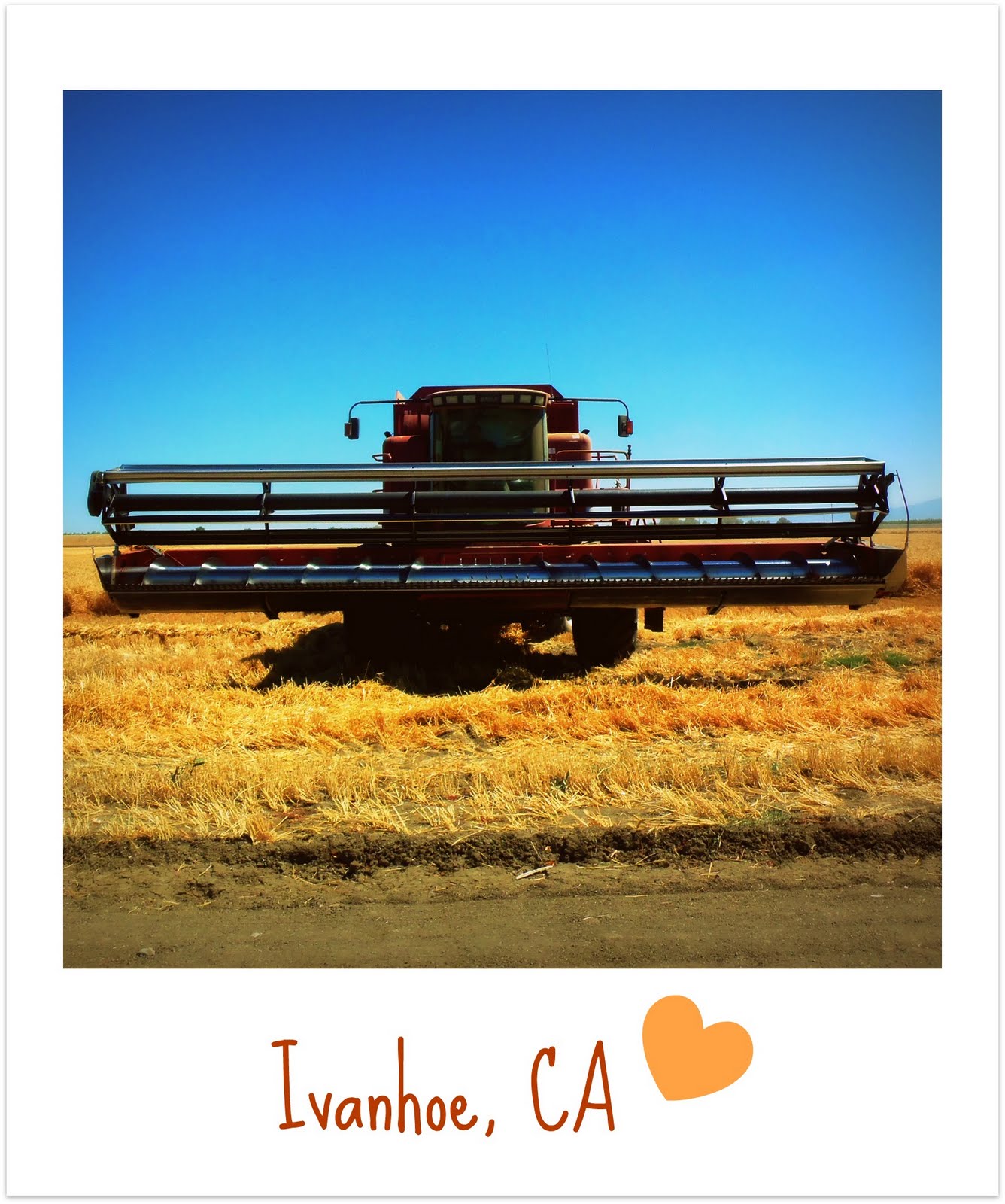 Ivanhoe, CA A•Mused