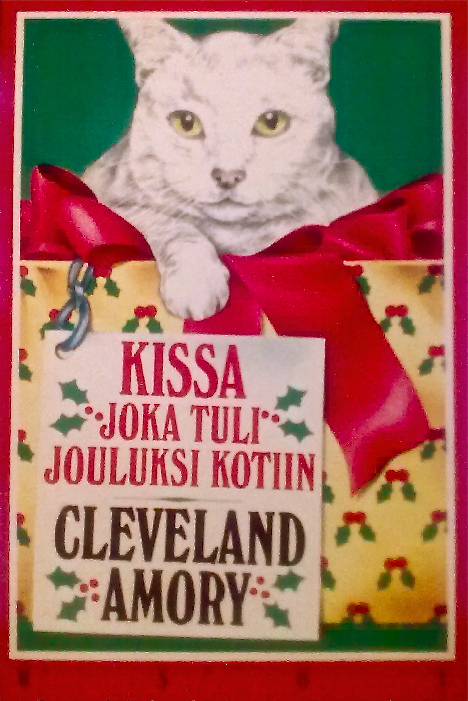 marja-leenan-kirjahylly-kissa-kirjat