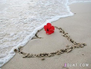 Images d'amour Images d'amour