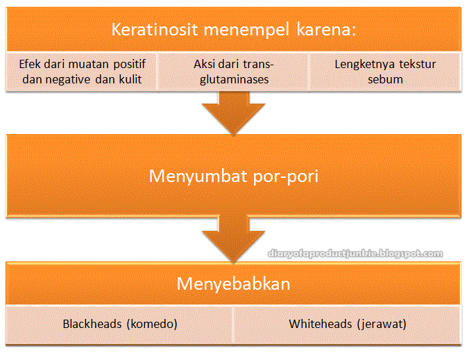 KERATINISASI ADALAH PDF