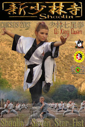 Cursos Shaolin Kung Fu - Qi Xing Quan (Shaolin Seven Star Fist)
