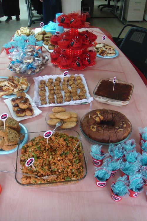 sirinAnne Ofiste bebek partisi