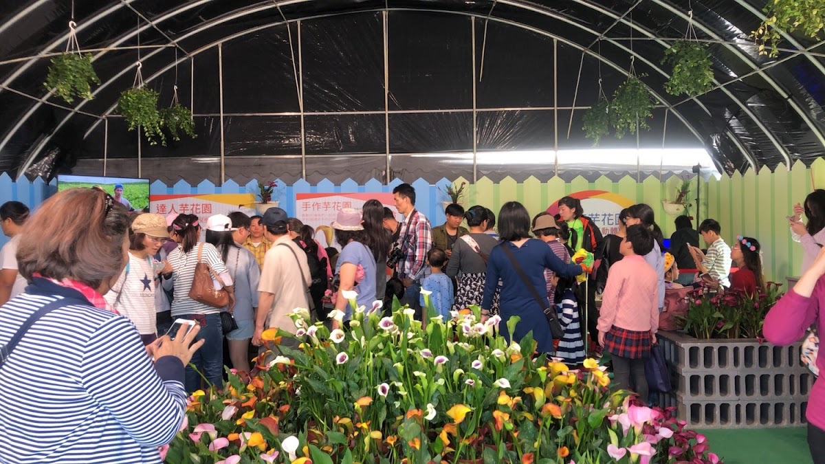 桃園市彩芋季3/10登場後,天天遊客絡繹不絕,桃園市副秘書長邱俊銘都忍不住呼籲民眾,善用平日時間去賞彩芋。 桃園市彩芋季3/10登場後,天天遊客絡繹不絕,桃園市副秘書長邱俊銘都忍不住呼籲民眾,善用平日時間去賞彩芋。