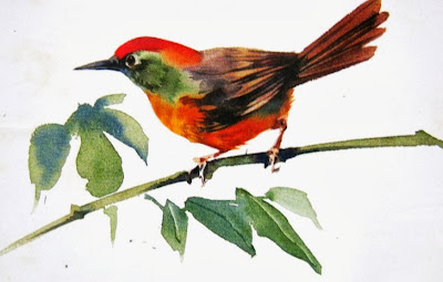 gambar lukisan burung galeri khusus berkelas gambar lukisan burung galeri khusus berkelas
