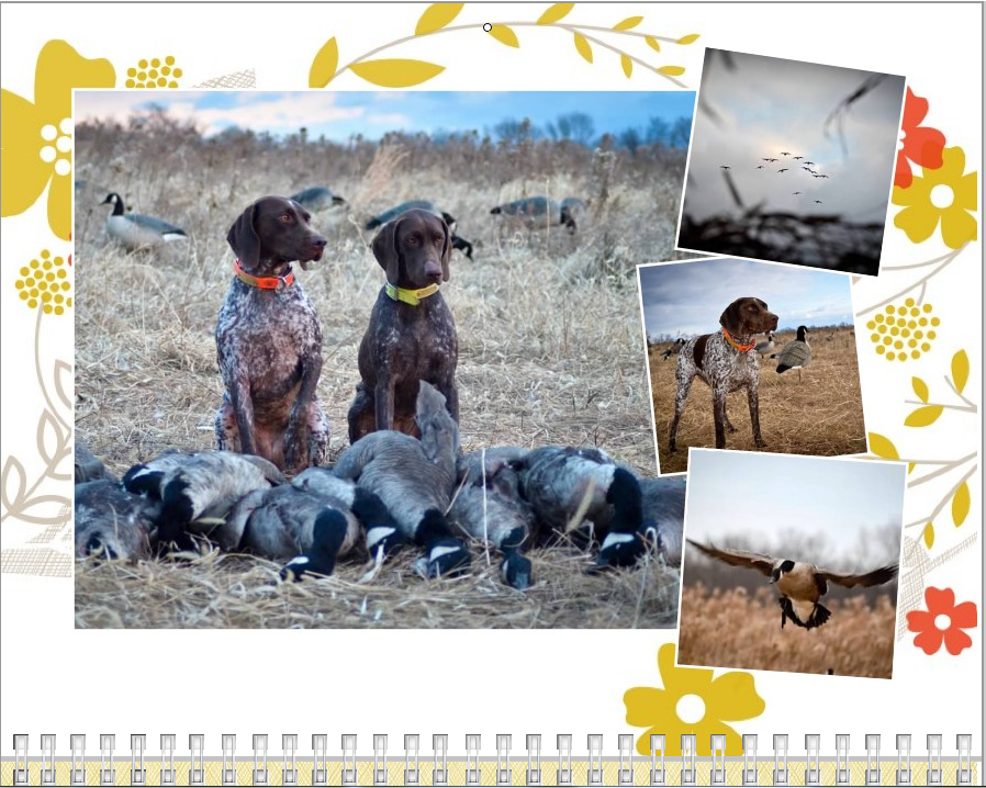 Adventures of a GSP Hunting Dog Seriously Awesome Holiday Gifts for