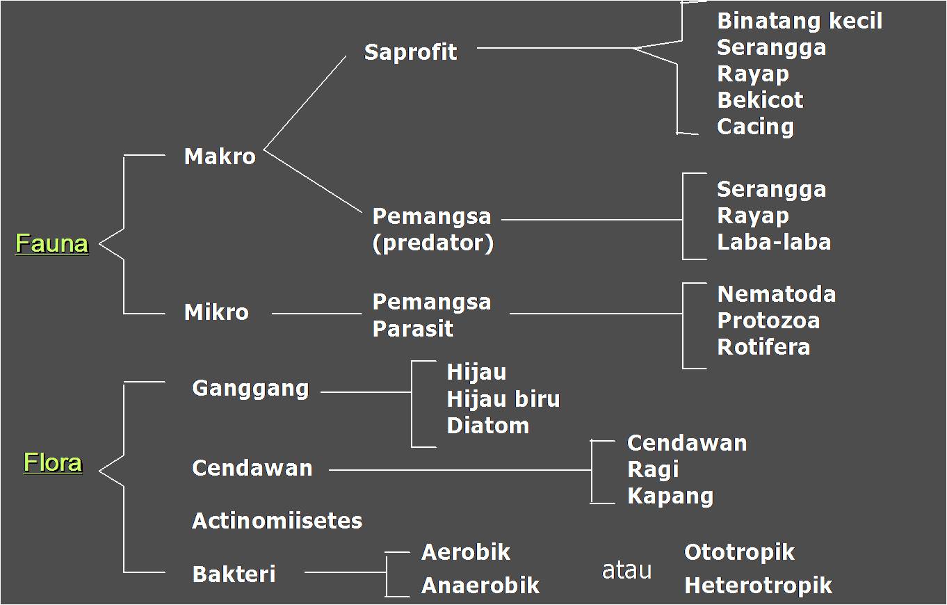 Contoh Daftar Pustaka Dan Catatan Kaki Yang Benar ...
