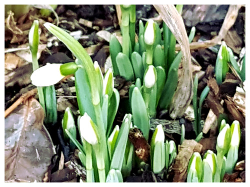 Nunu S Garn Und Stofflabor Wechselwetter Zwischen