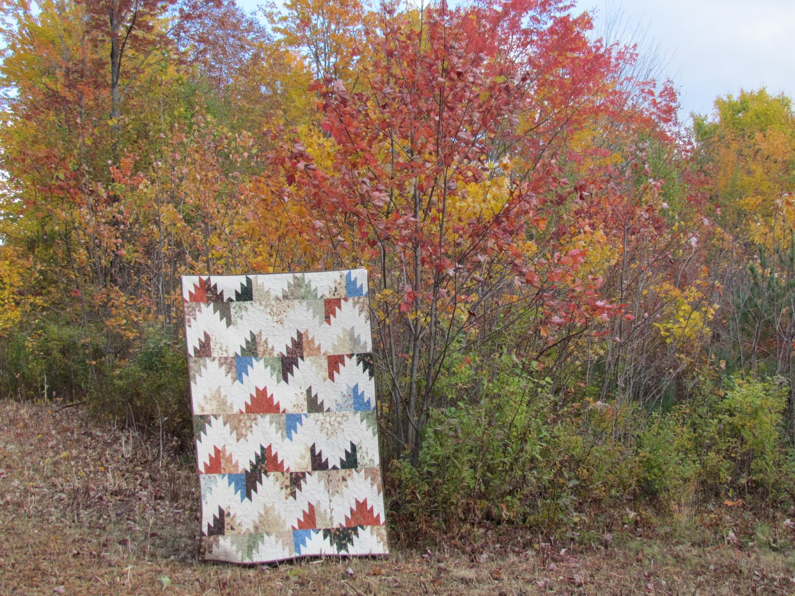 KayakQuilting Finished Delectable Mountain Quilt