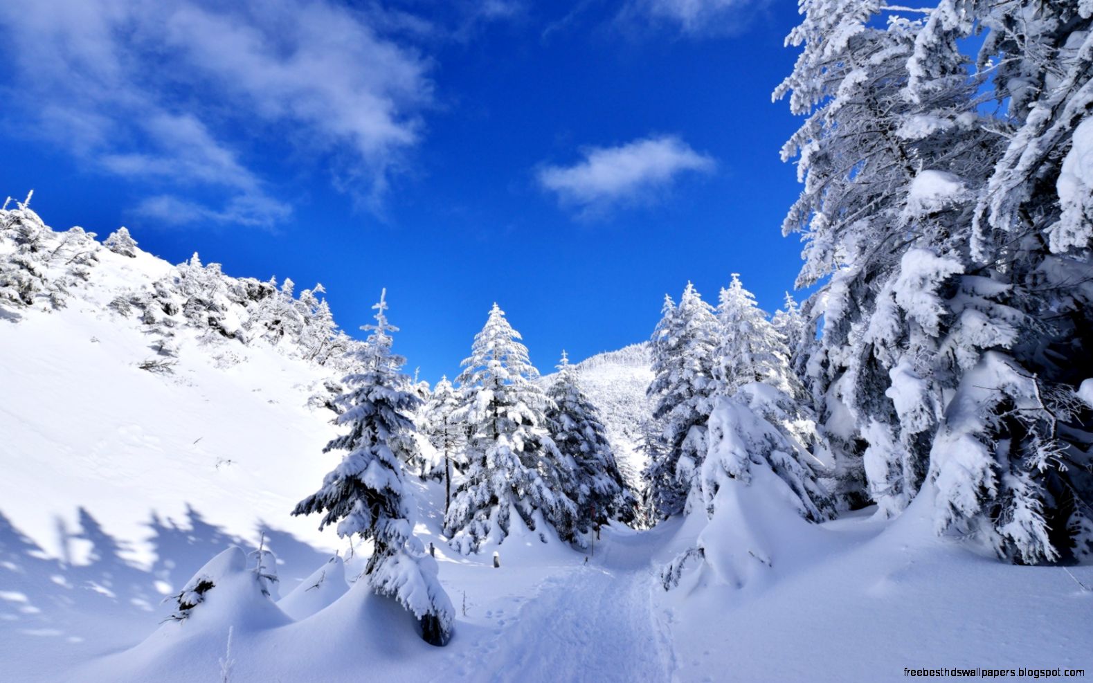 1680x1050 Snow covered landscape Wallpaper