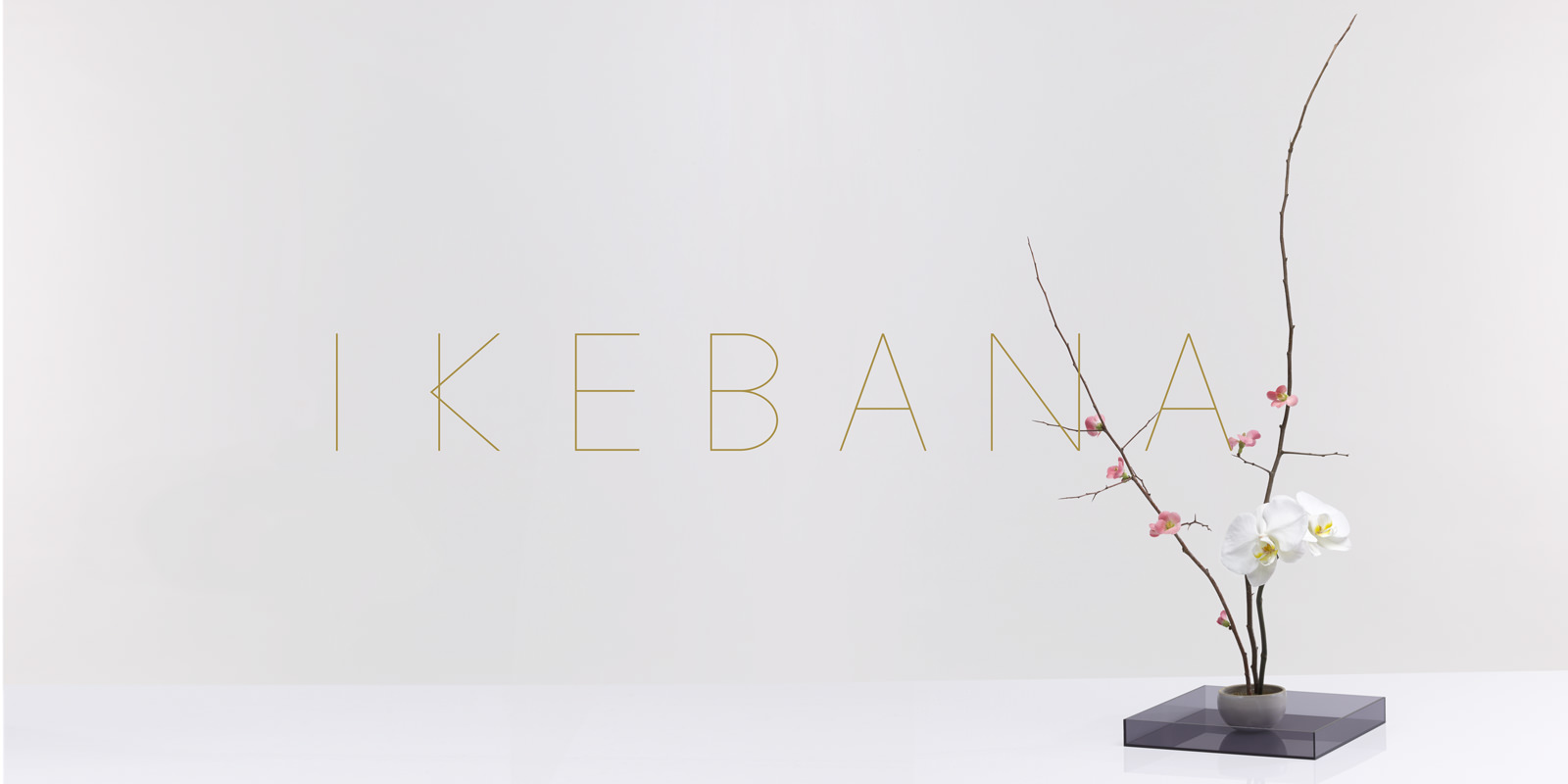 Introduction of Ikebana