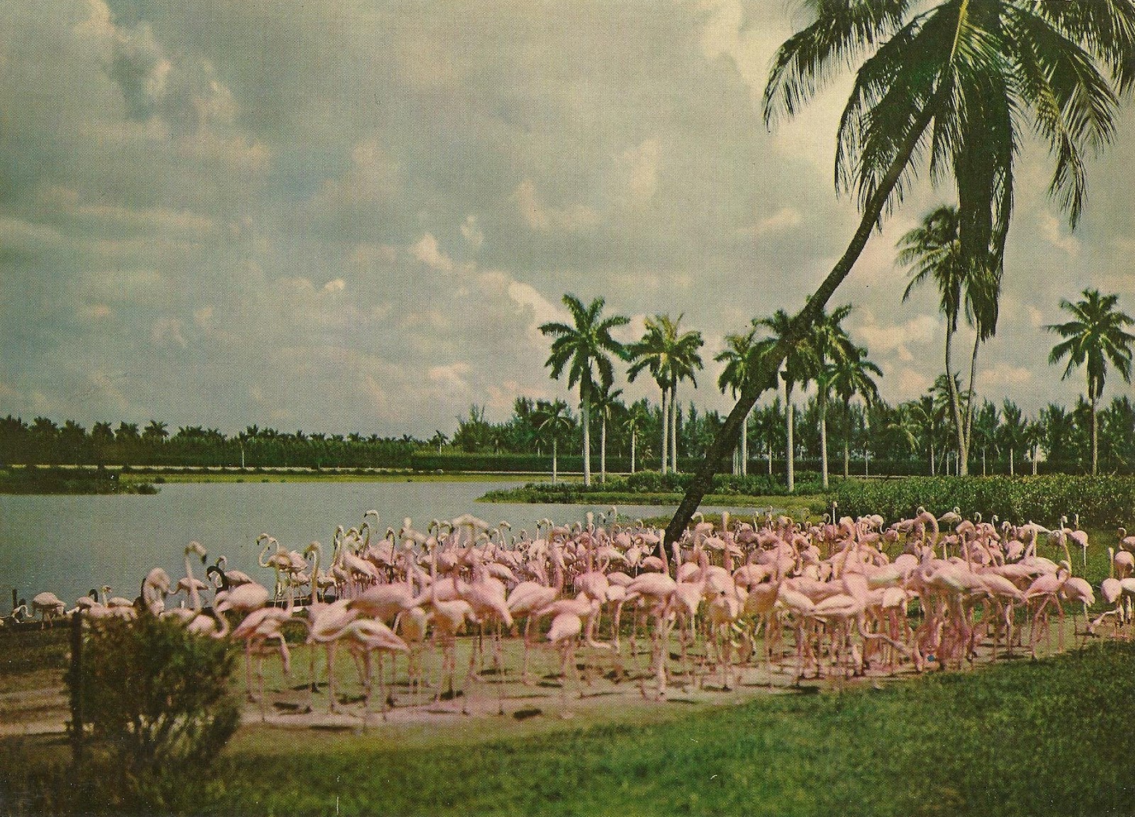 Hialeah Race Course Hialeah Race Course