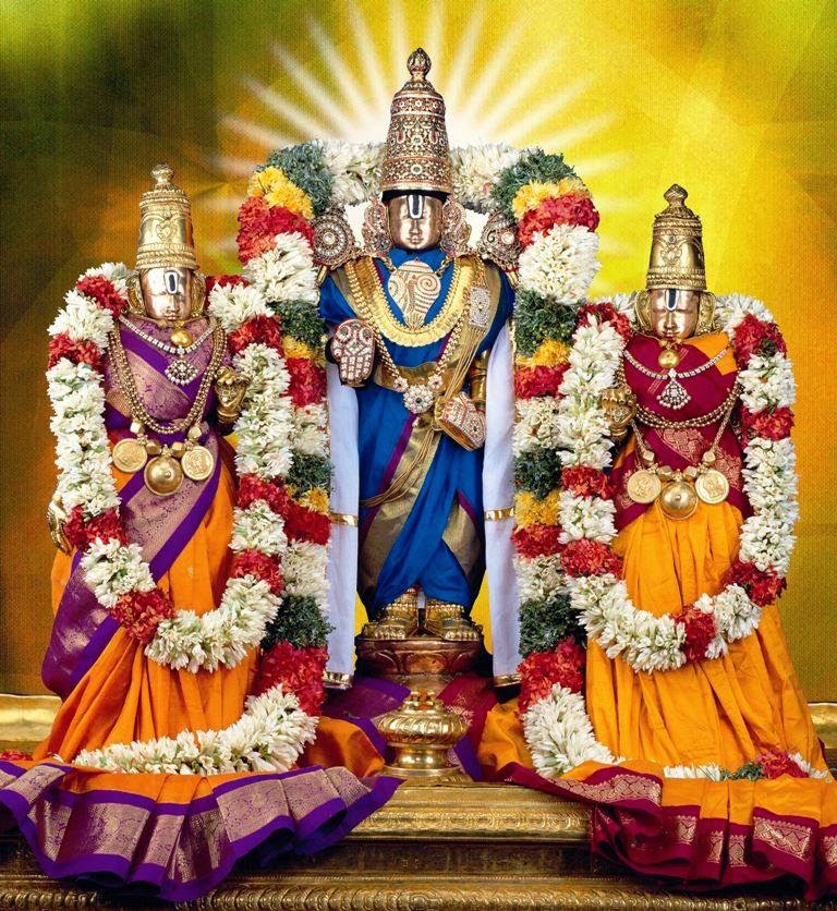 1502501_10203321047730879_773200258_n.jp