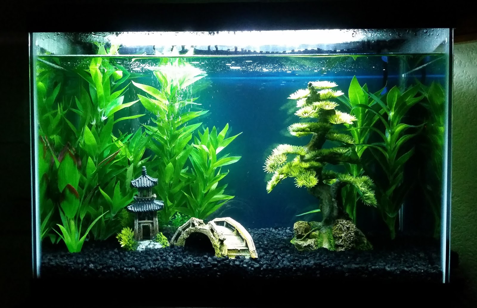 modern realistic fish tank plants modern realistic fish tank plants