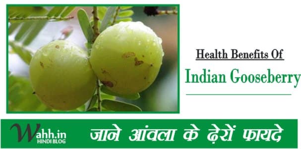 Health-Benefits-Indian-gooseberry