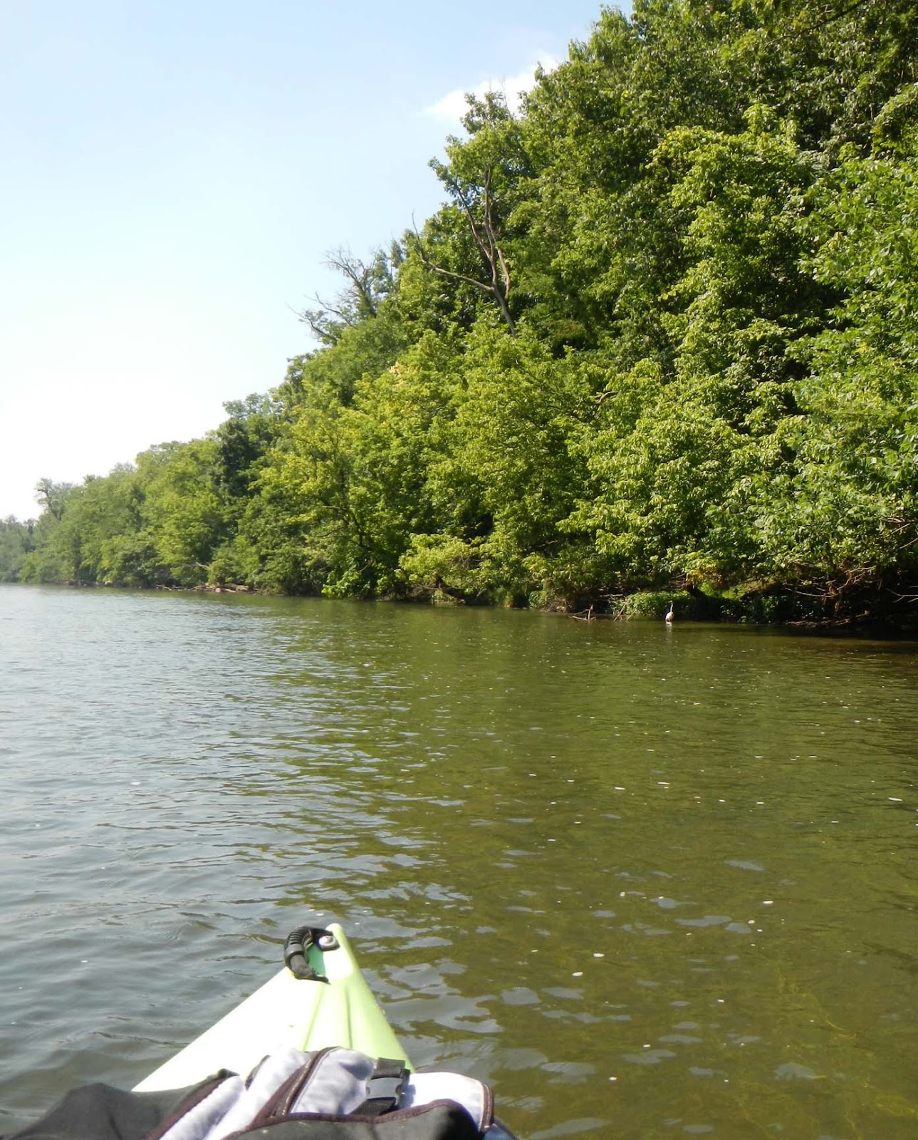 Adventures and Pondering Commute via Creek