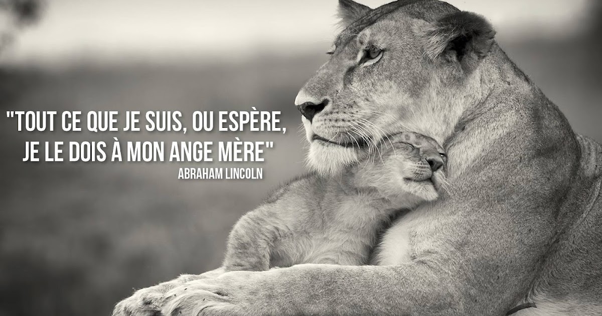 Citation Damour A Sa Mere Best Citations D Amour