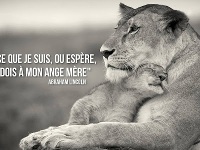 Les 80+ meilleures citation mere fille fusionnel  195072-Citation amour fusionnel mere fille