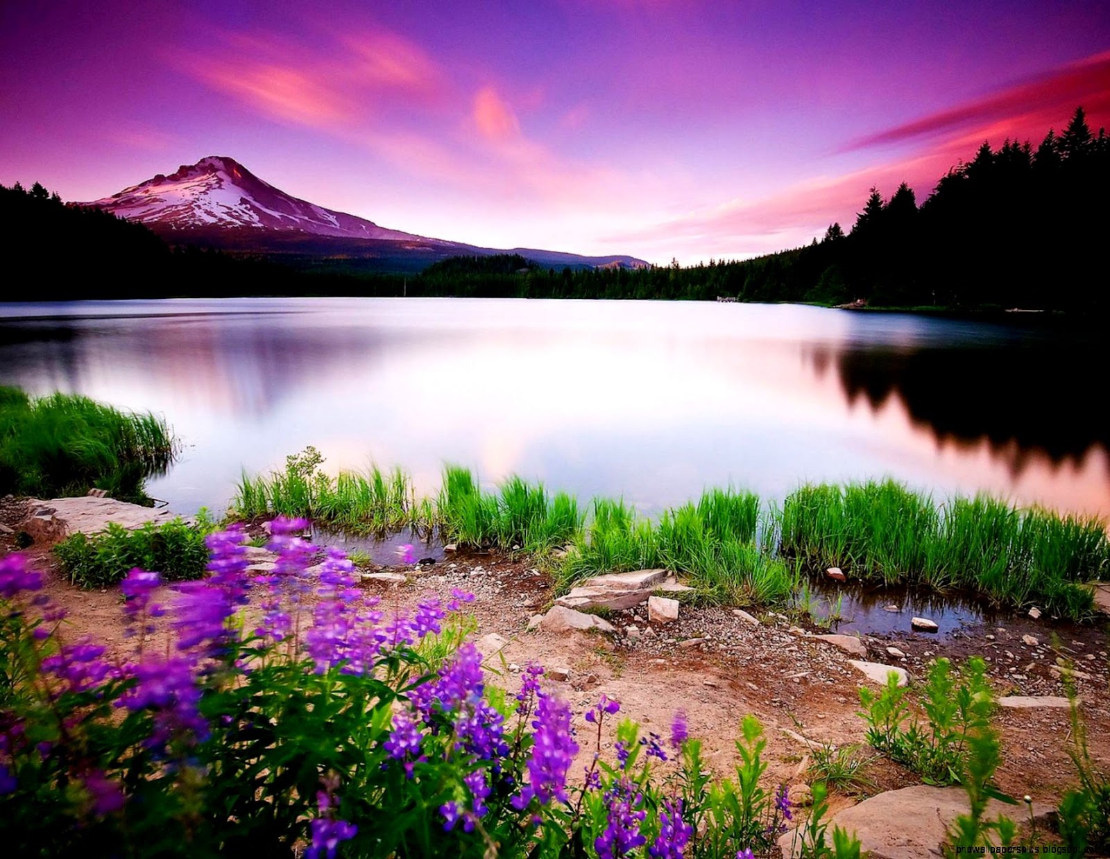 Beautiful Nature Scenery Desktop