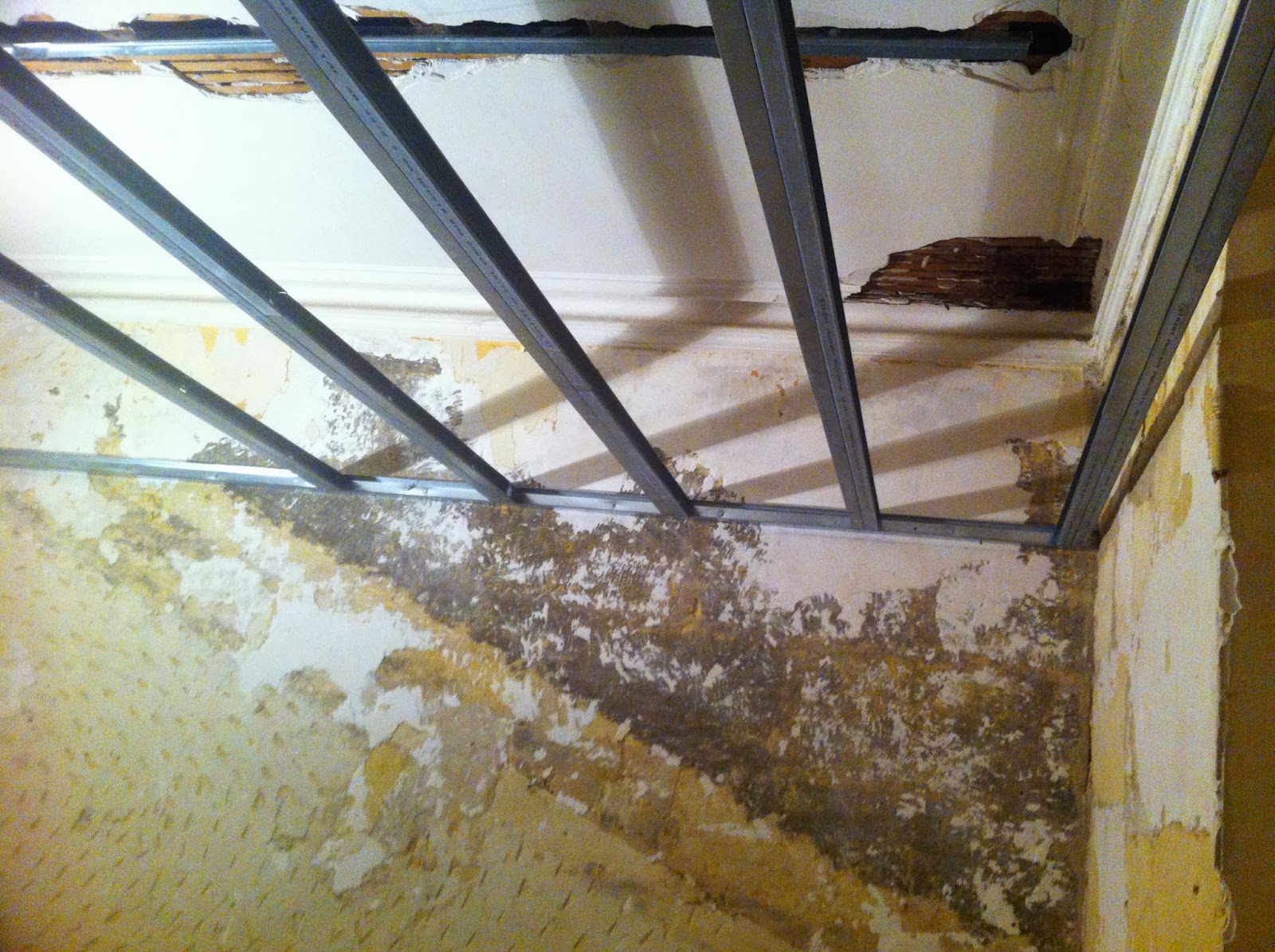 Travaux maison Brosseau La tournée du plafond (je sais c'est minable)