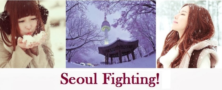 Seoul Fighting oldal