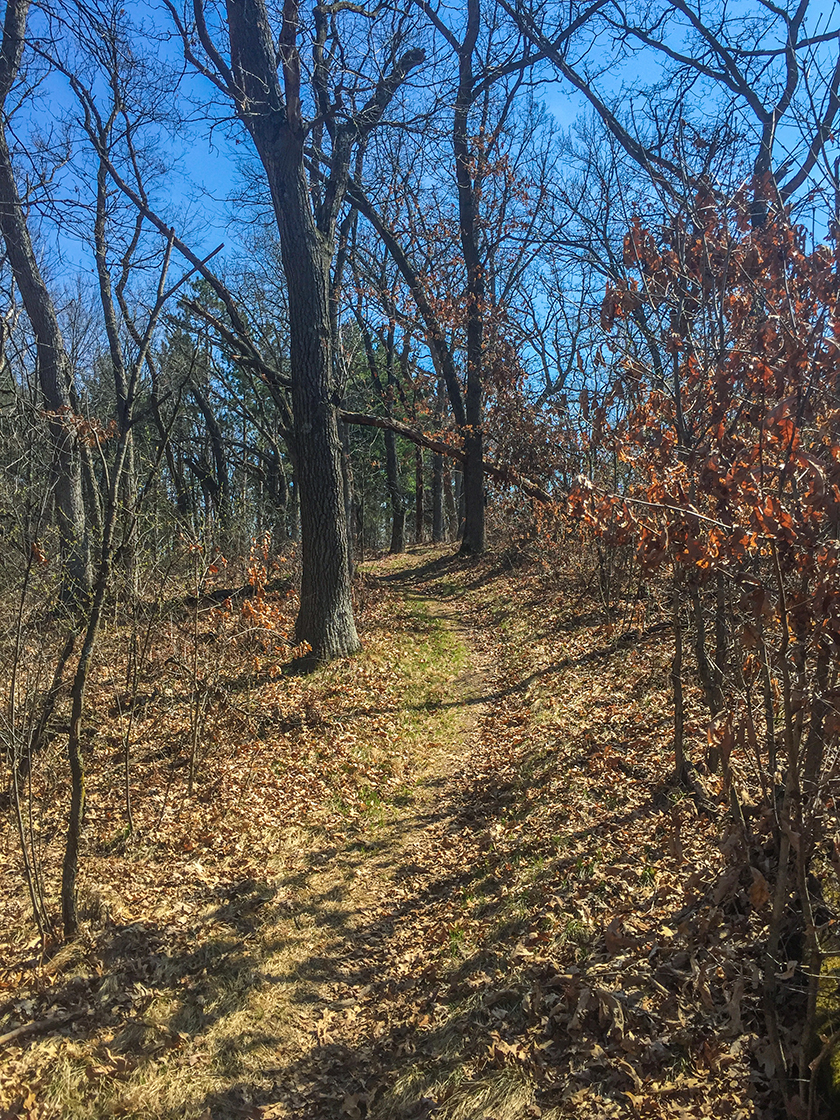 Along the Ice Age Trail at the Brooklyn Wildlife Area