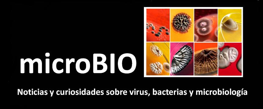 microBIO