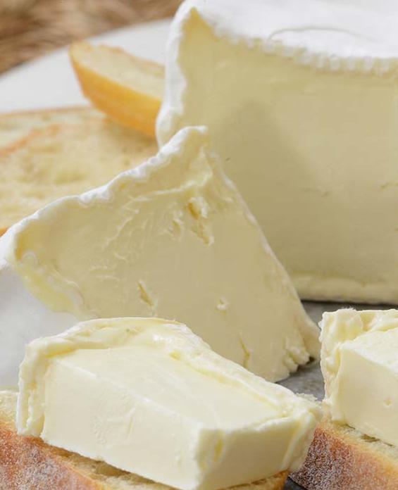 FOOD SAFETY Listeria in cheese