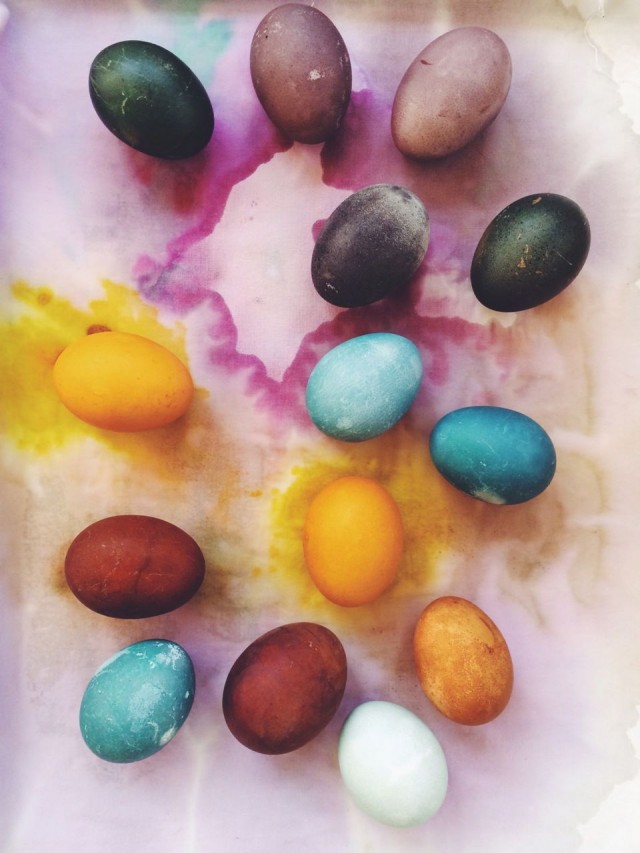 easter egg dyeing with natural real food ingredients