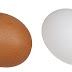 Brown vs. white: What's the difference between these eggs?
