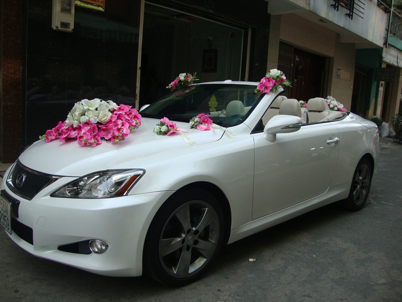 Bộ sưu tập xe hoa cưới màu trắng: Xe hoa Lexus IS 250C 2 cửa mui trần