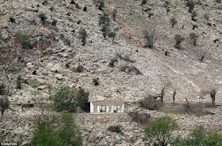 Vegetables and War Zones