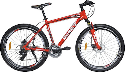 top 10 cycles under 20000