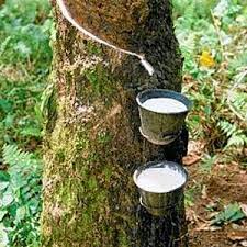 DISTRIBUTOR-NASAKENDAL.BLOGSPOT.COM AGEN PUPUK NASA DI KALIMANTAN TENGAH