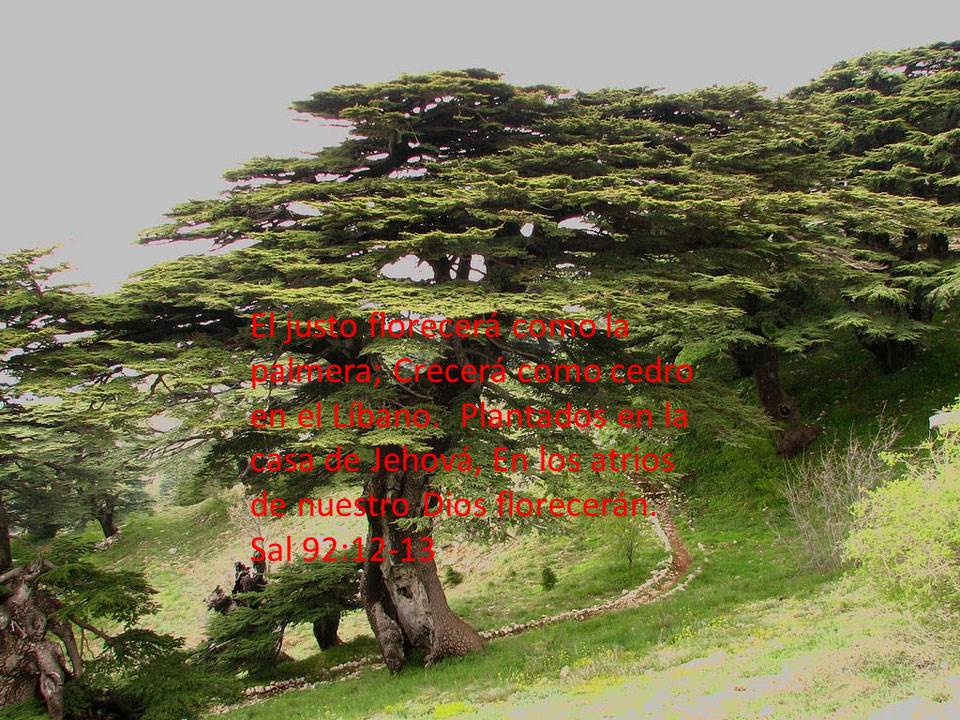 la mas grande de las virtudes Asa, rey de Judá