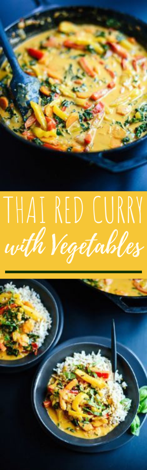 Thai Red Curry with Vegetables #curry #vegetarian
