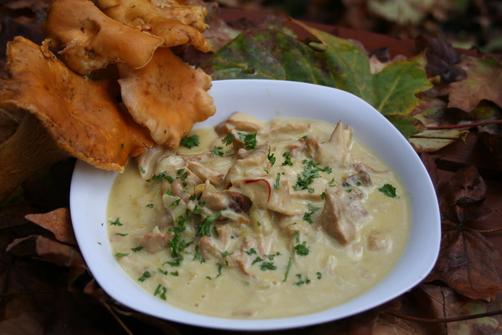 TruVeg Dish It Up Golden Chanterelle in Saffron Cream Sauce