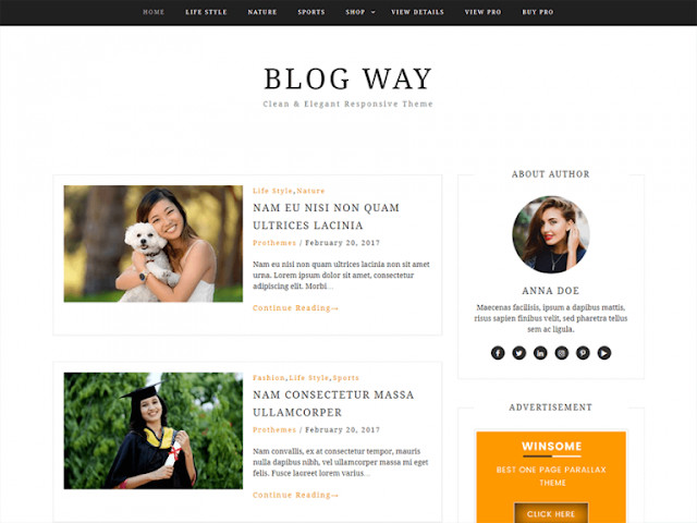 Blog Way WordPress Teması