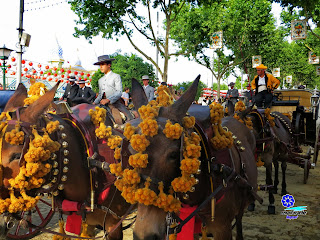 Feria de Sevilla 2014 Adornos para los equinos
