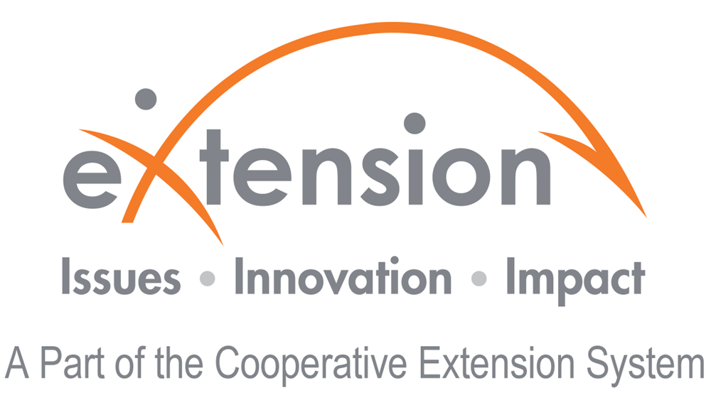 Extension org. Life Extension лого. Extension Education. Git Extensions logo. Extension Education Music.