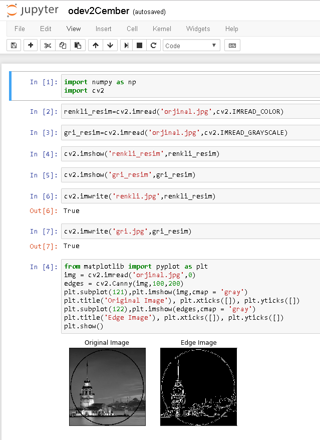 Yazıcının Şahidi Tarayıcı: Kasım 2017