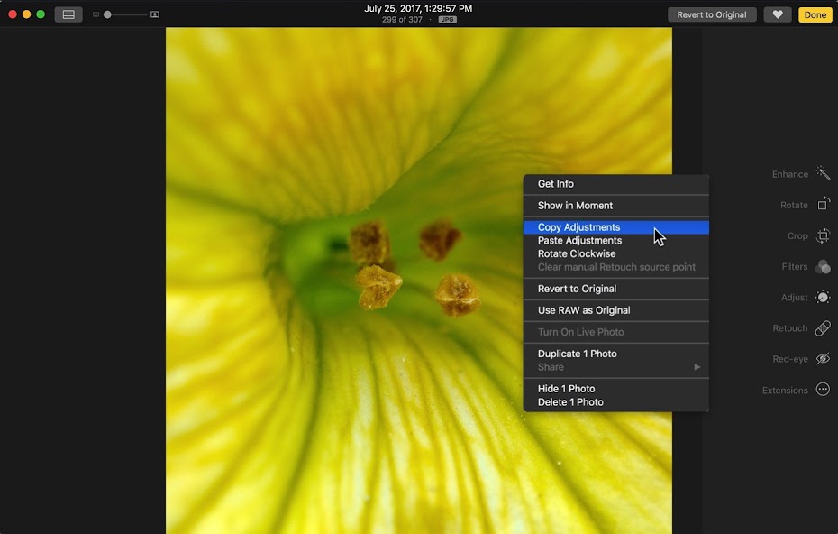 apple photo batch process title apple photo batch process title
