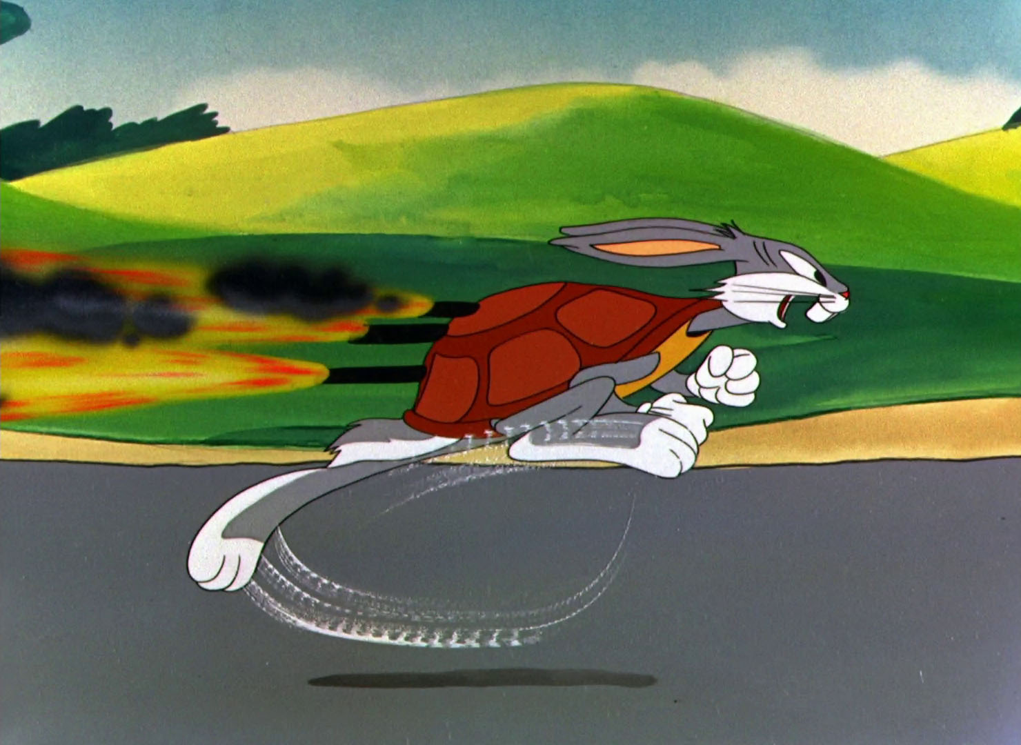 Rabbit Transit Rideguide Mystop Rabbit Transit _ How to Ride Public Transportation – ZQHMFW