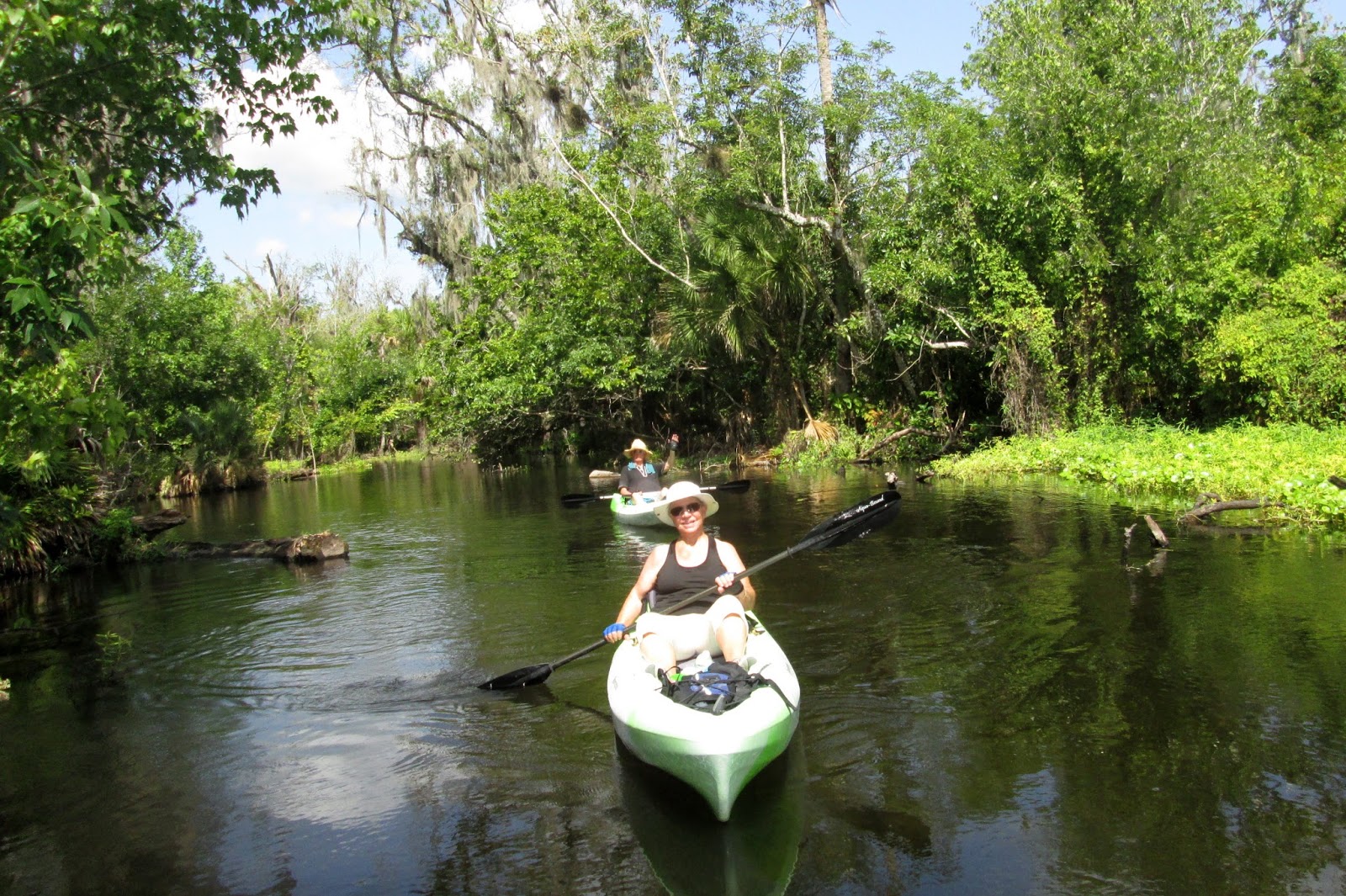 Central Florida Kayak Tours Exploring the cool spring fed Wekiva River