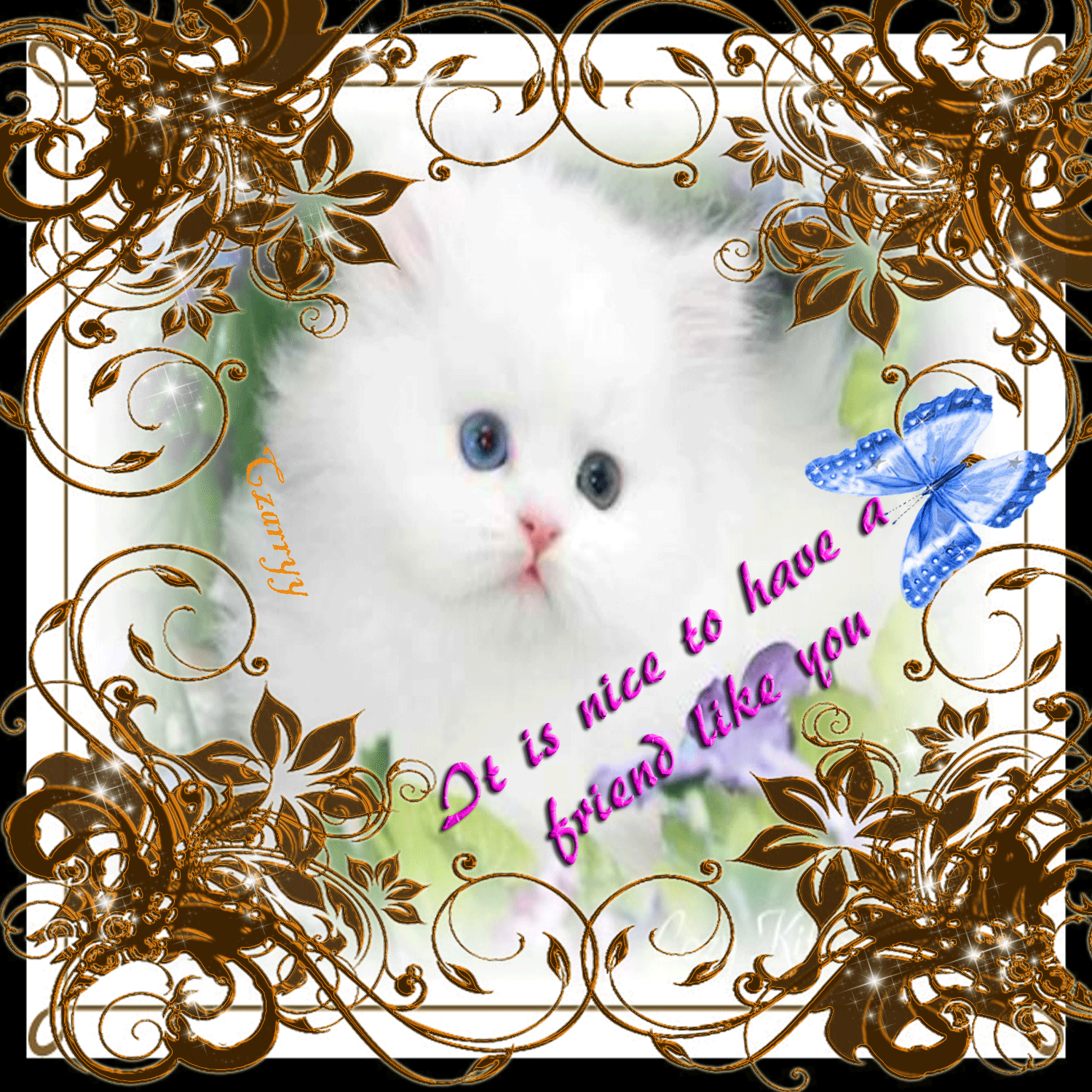 any-kind-friendship-quotes