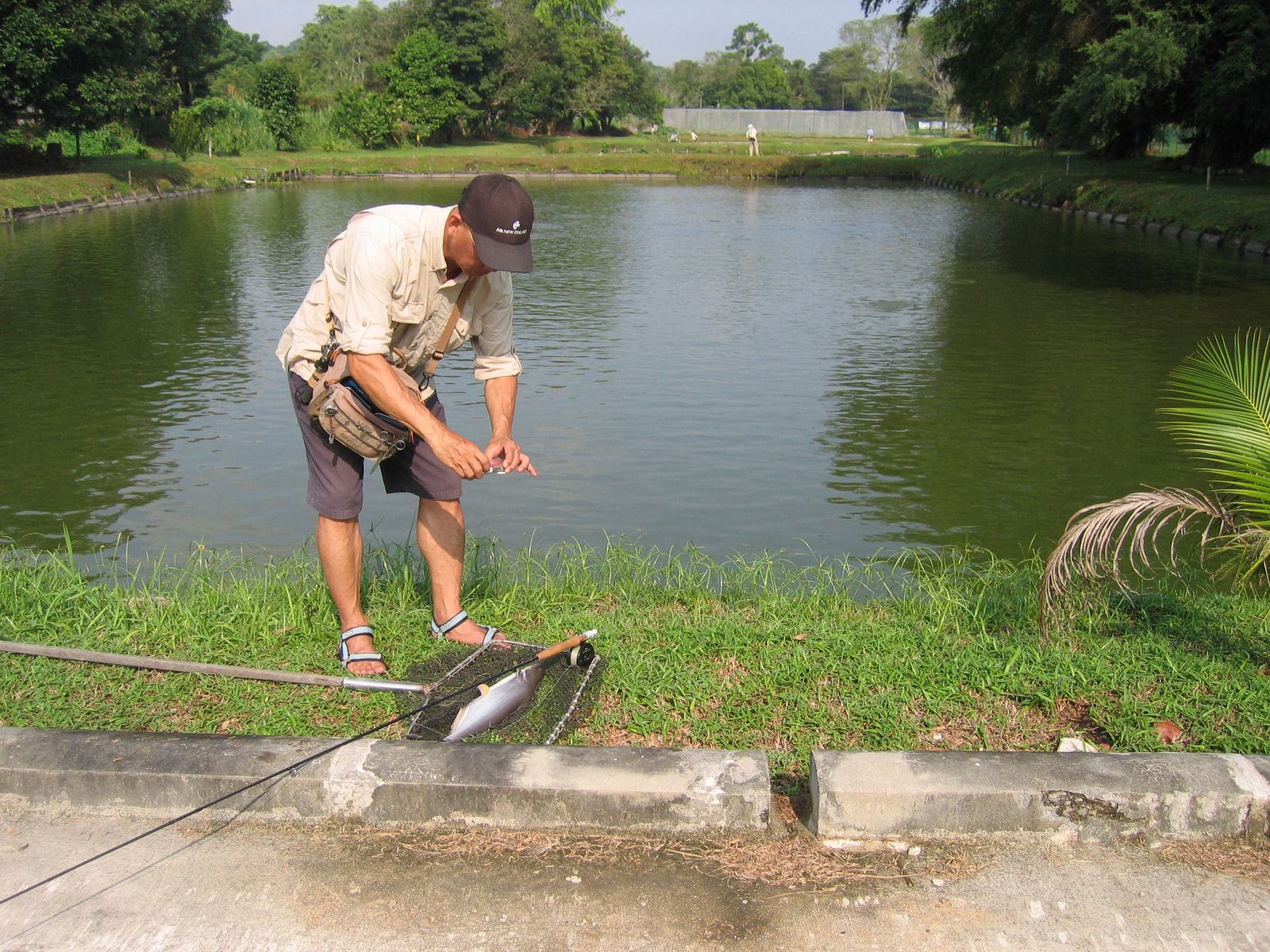 Fly Fishing Journal Yishun Bottle Tree Park