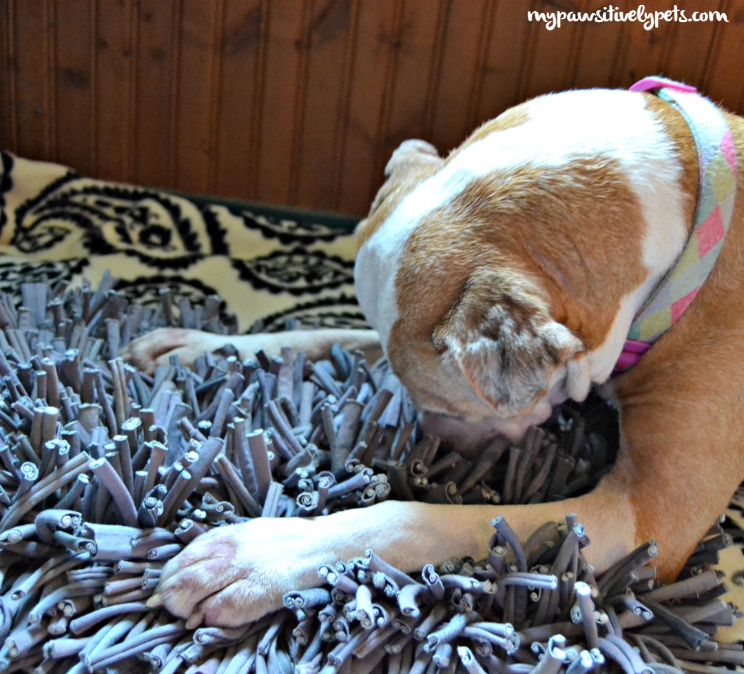 The Wooly Snuffle Mat: One of the Best Food Puzzles for Dogs
