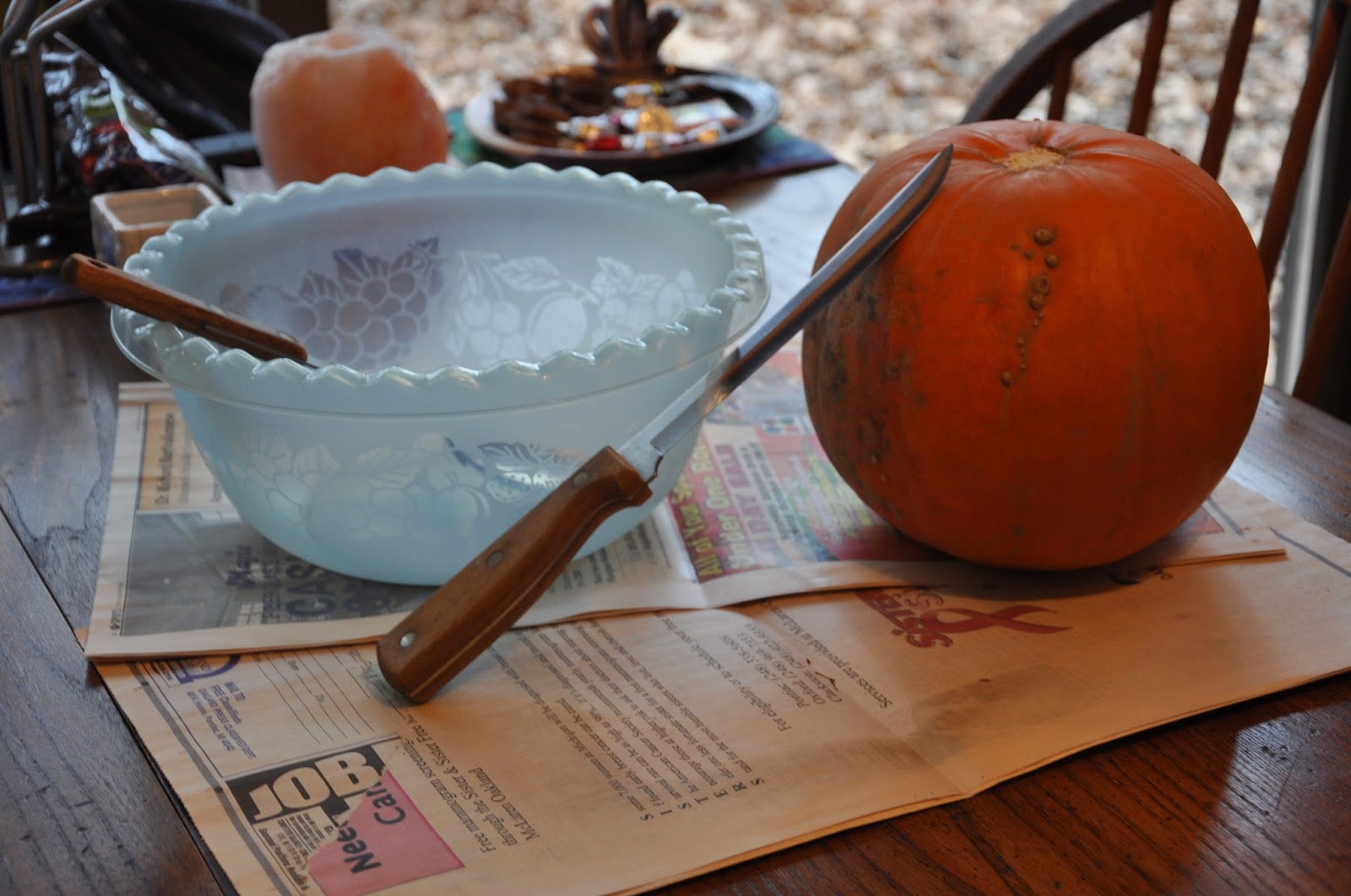 My Miniature Donkeys Pumpkin Treat For Three Donkeys Fooled Ya