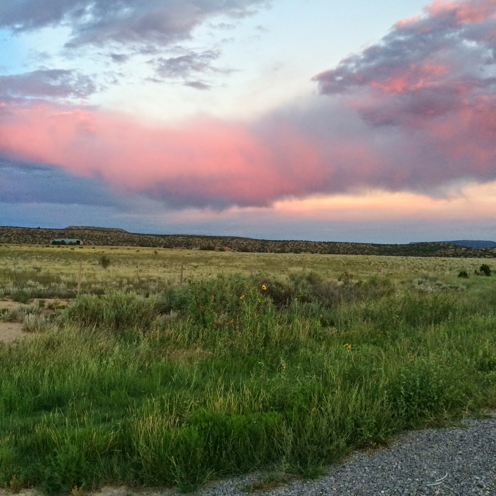 Your Destiny is Stone Golden Revelations in Ms. O'Keefe's pantry, Fall